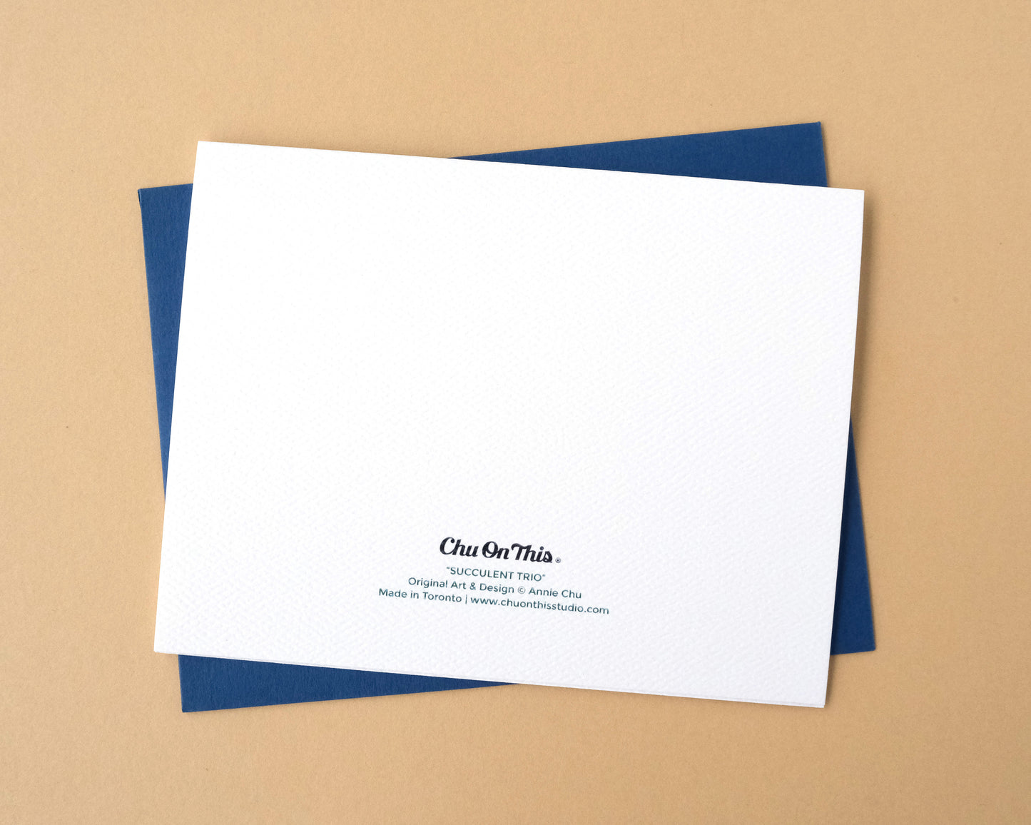 Succulent Trio Greeting Card