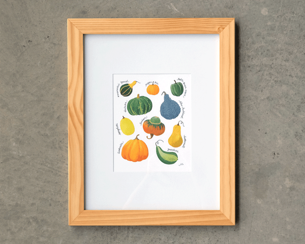 Know Your Gourds Chart