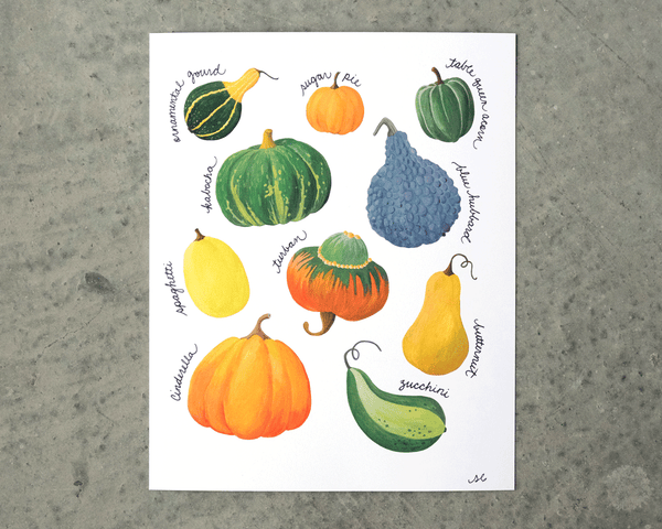 Know Your Gourds Chart